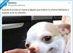 Enlace a Te vas a reír por @supermanumolina