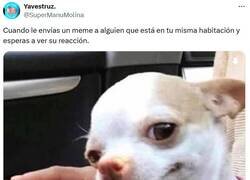 Enlace a Te vas a reír por @supermanumolina
