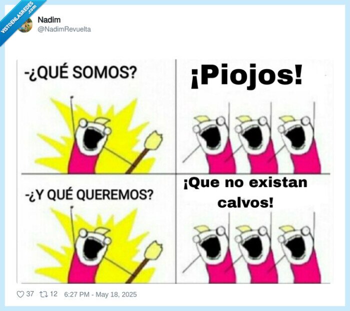 all the things,piojos,calvos