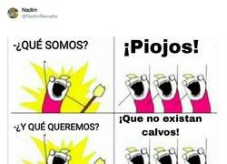 Enlace a El grito de los piojos, por @NadimRevuelta