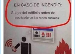 Enlace a Dedicado a todos los tontos, por @capturebizarre