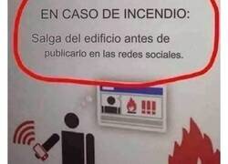 Enlace a Dedicado a todos los tontos, por @capturebizarre