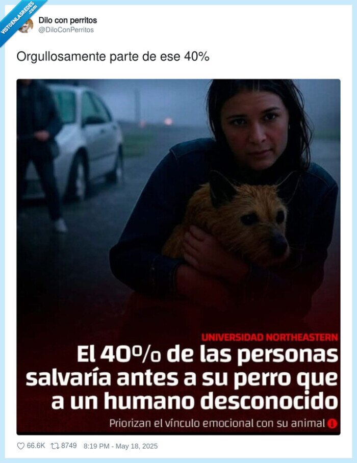 orgullo,perros,salvar,humano desconocido