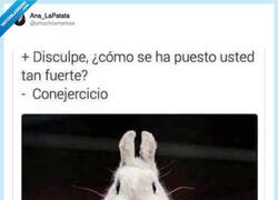 Enlace a La importancia del ejercicio