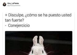 Enlace a La importancia del ejercicio