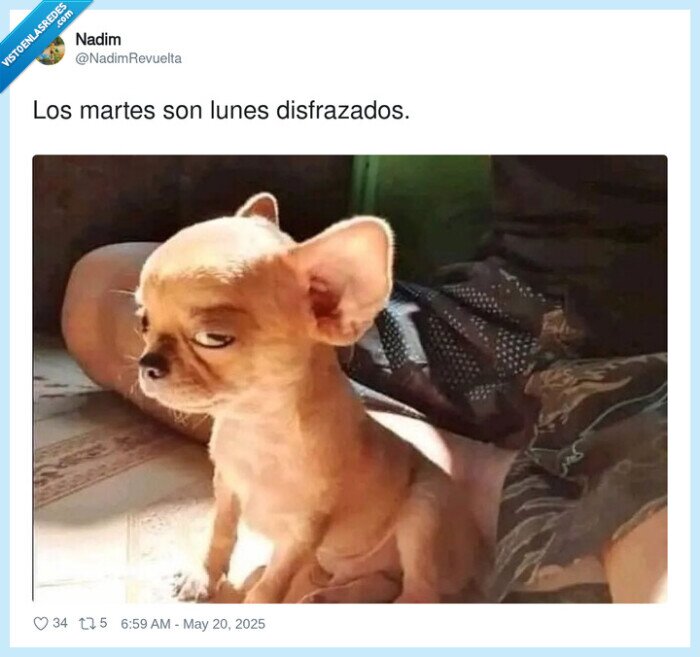 disfrazados,martes,lunes