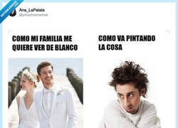 Enlace a No vas bien
