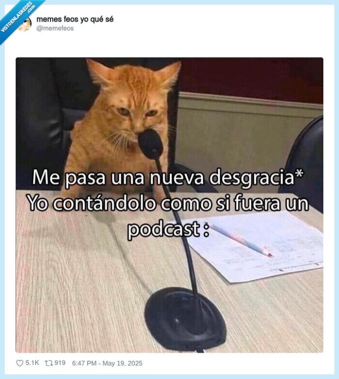 podcast,desgracias,vida,gato,explicar
