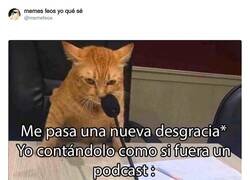 Enlace a Atención, radiopatio, ahí vamos, por @memefeos