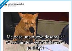 Enlace a Atención, radiopatio, ahí vamos, por @memefeos