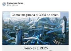 Enlace a ¿Qué retraso sufren los que preguntan siempre a la IA?