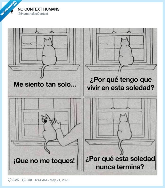 gato,soledad,tocar
