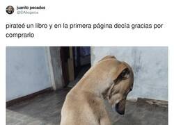 Enlace a Sorry, por @ElAbogarca