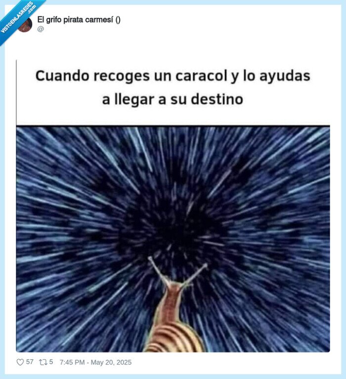 caracol,lanzar,galaxia