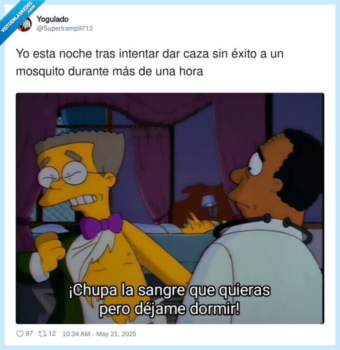 mosquito,intentar,éxito,noche