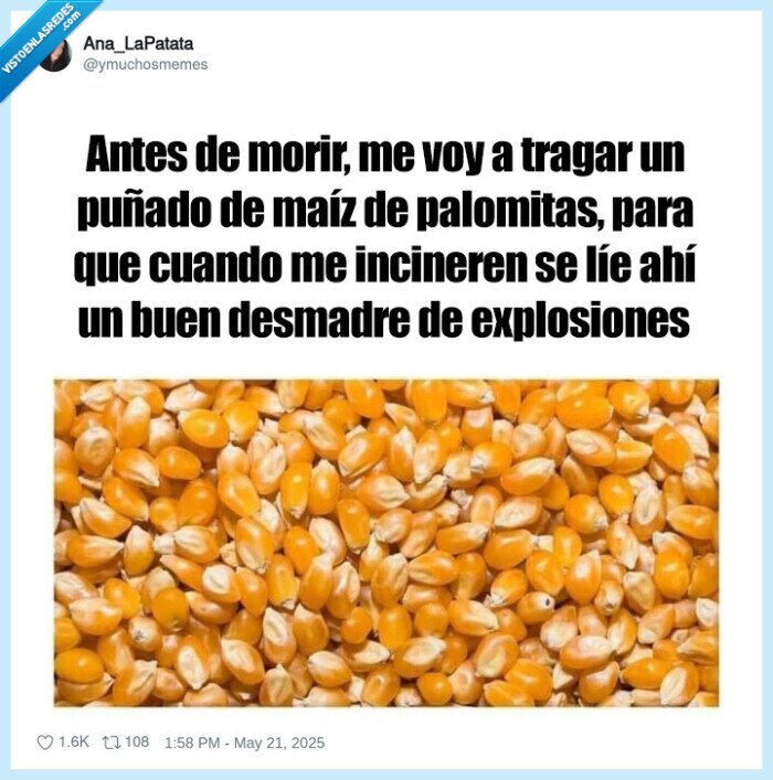 maíz,palomitas,explotar