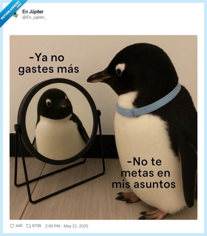 pinguino,gastar,gastos,metas,asuntos
