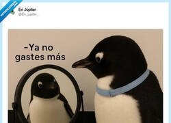 Enlace a Oigo voces en mi interior, por @En_jupiter_