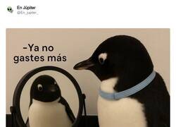 Enlace a Oigo voces en mi interior, por @En_jupiter_