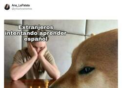 Enlace a Un clásico de nuestra lengua