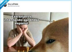Enlace a Un clásico de nuestra lengua