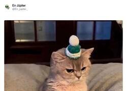 Enlace a Siempre miramos los demás sin valorar lo nuestro