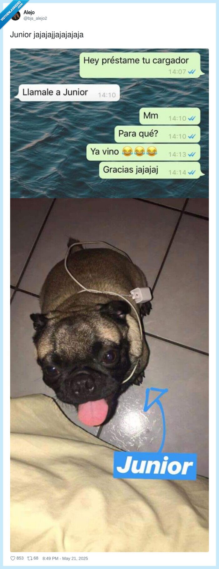 perro,cargador,mensajero