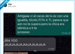 Enlace a Amiga, no repitas errores