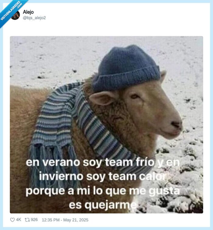 team frío,team calor,quejarme,oveja