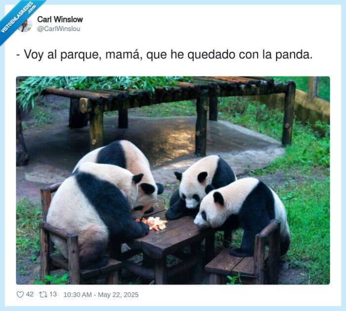 parque,quedar,oso panda,panda,cuqui