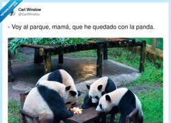 Enlace a La panda y el pando, por @CarlWinslou
