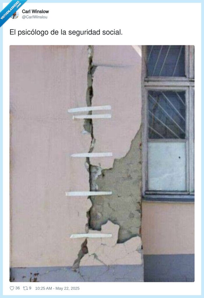 psicólogo,seguridad social,tirita