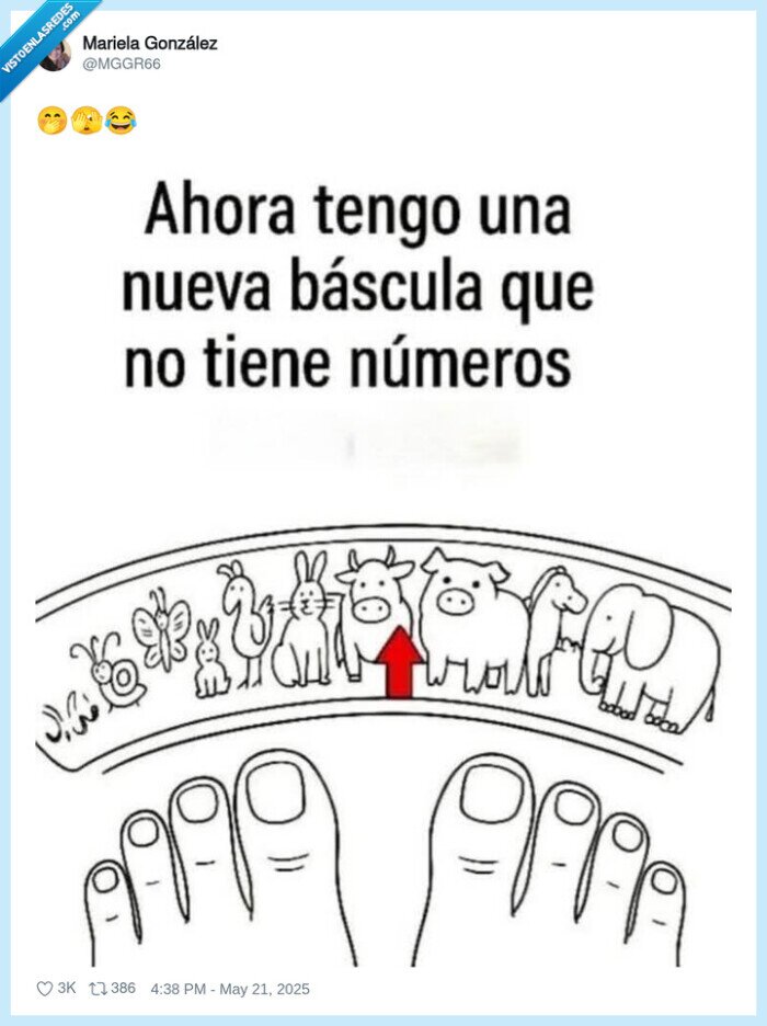 báscula,animales,numeros