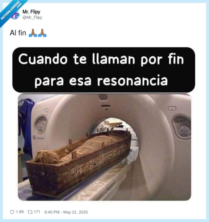 momia,resonancia,seguridad social,tarde