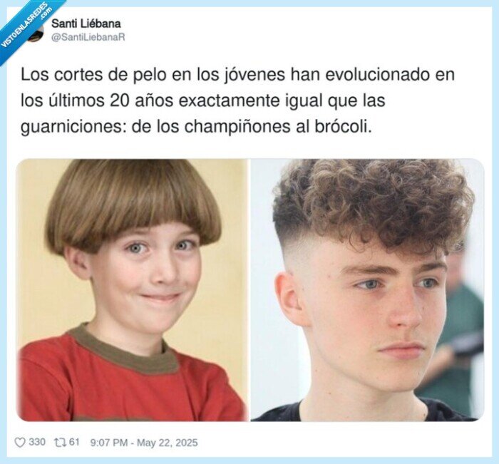 champiñones,guarniciones,evolucionado,pelo,brócoli,jóvenes