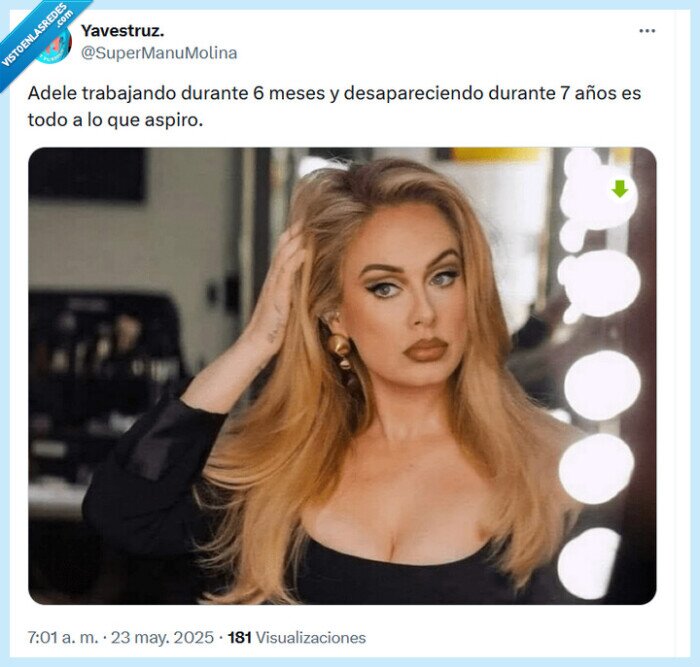 adele,trabajr desaparecer