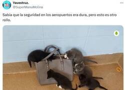 Enlace a ¿Qué lleva ahí, señora? por @supermanumolin