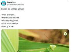 Enlace a Unos bichos por @supermanumolina