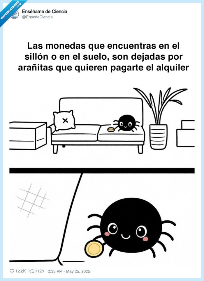 araña,pagar,alquiler,casa