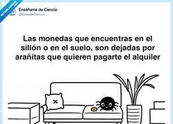 Enlace a Qué detalle, no mataré a ninguna más, por @EnsedeCiencia