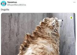 Enlace a El mejor amigo de los largartos gigantes por @supermanumolina