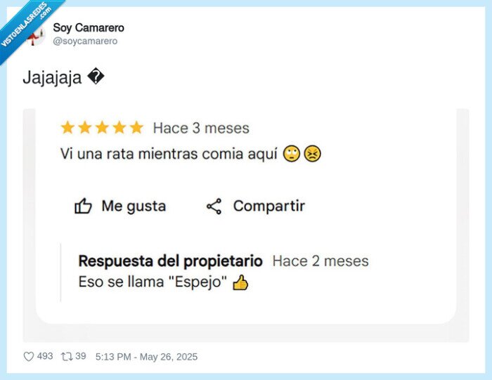 review,reseña,espejo,rata