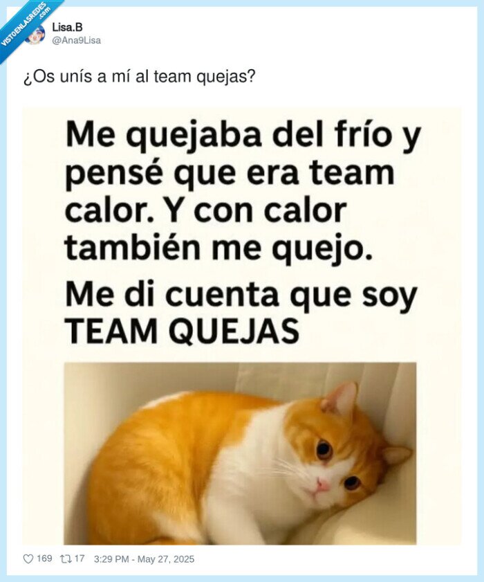 team quejas,gato