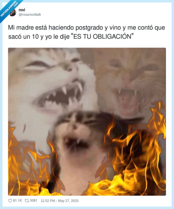 obligación,postgrado,madre,estudiar