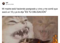 Enlace a Qué bien sienta la venganza, por @rosariovillalb