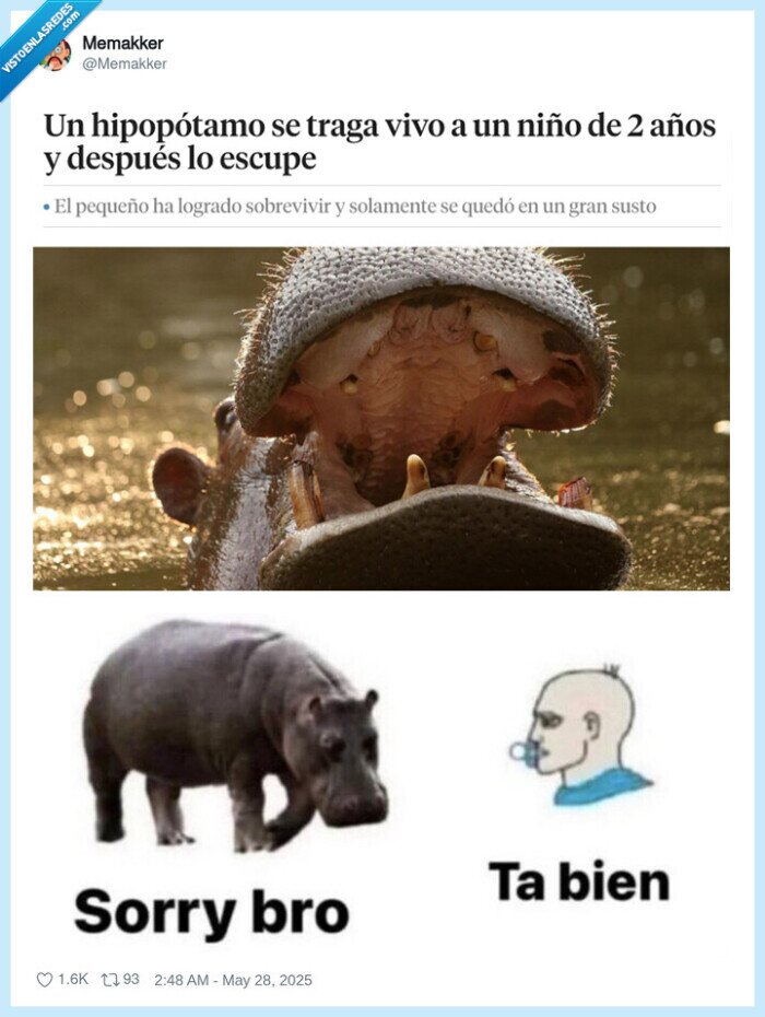 hipopótamo,bebe,tragar,escupir