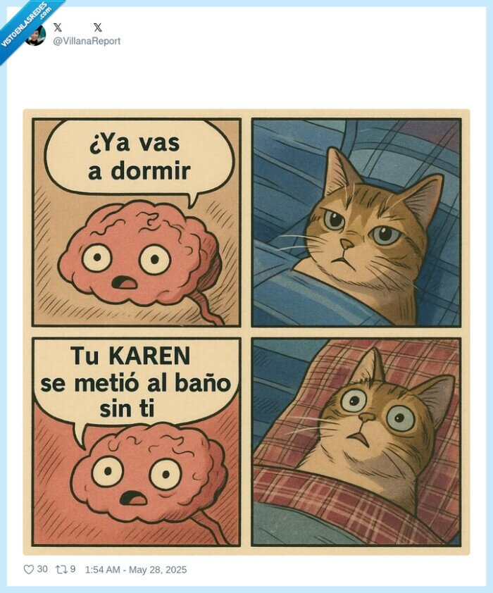 gato,cama,dormir,caren,cerebro