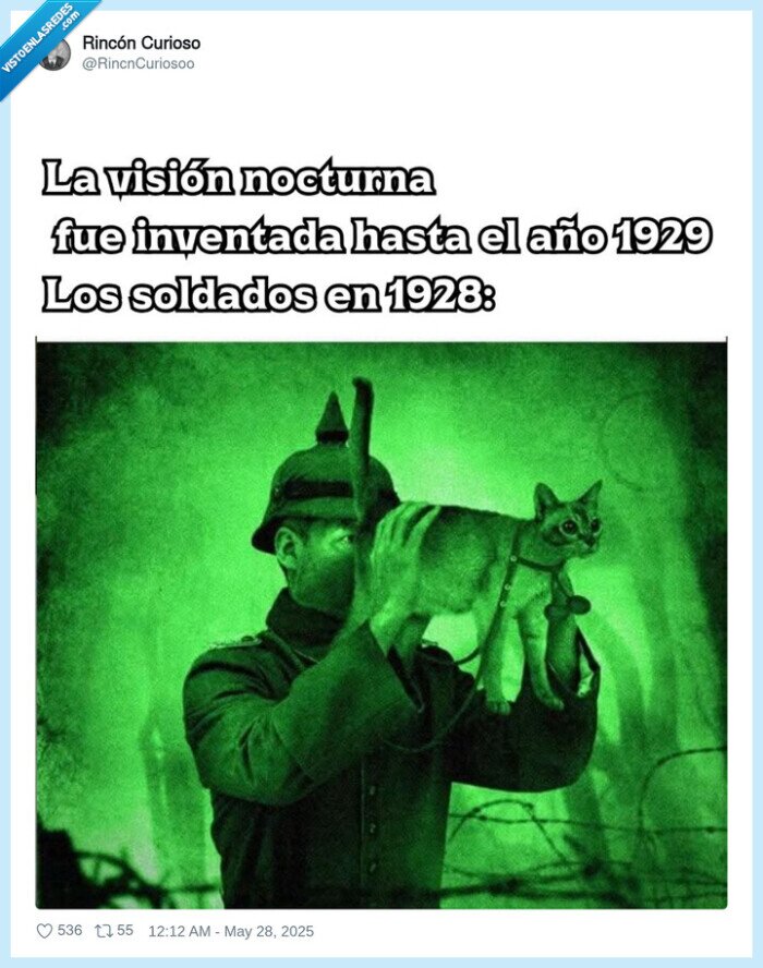 gato,vision nocturna,soldados