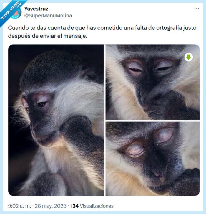 falta,ortografía,mensaje