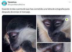 Enlace a ¿Qué he hecho? por @supermanumolina